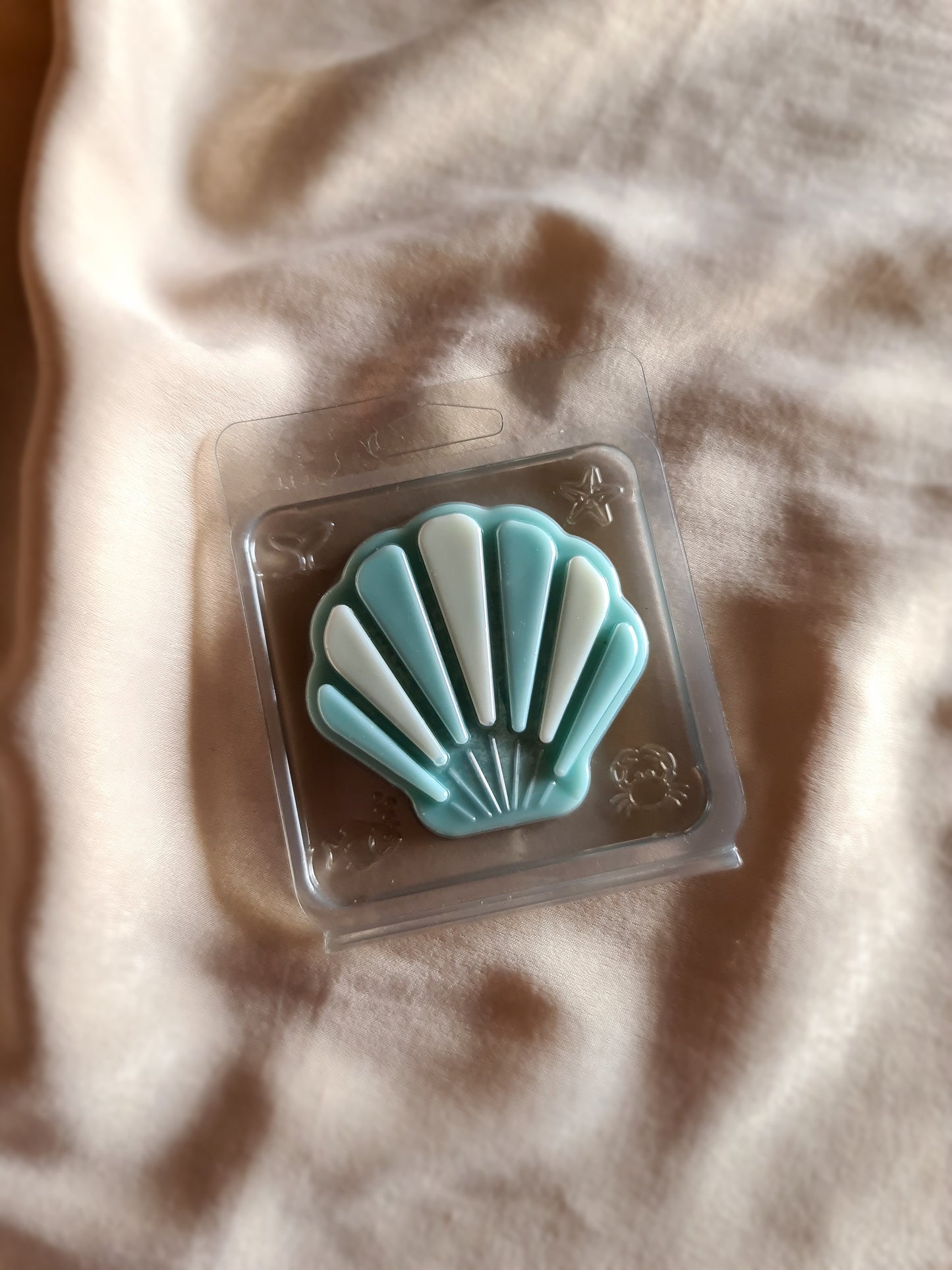 Coastal Cypress & Sea Fennel | Shell Wax Melt Clamshell